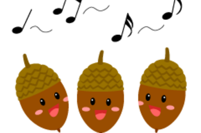 横浜市保土ケ谷区の小さな鍼灸院【はな鍼灸治療院】です！