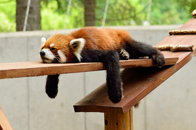 横浜市の鍼灸院　残暑が厳しいです