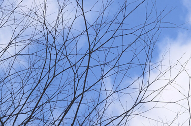 横浜市の鍼灸院　お肌のトラブルが気になる季節です