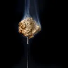 プライバシーポリシー