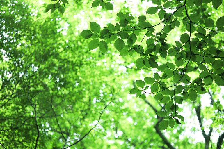 プライバシーポリシー